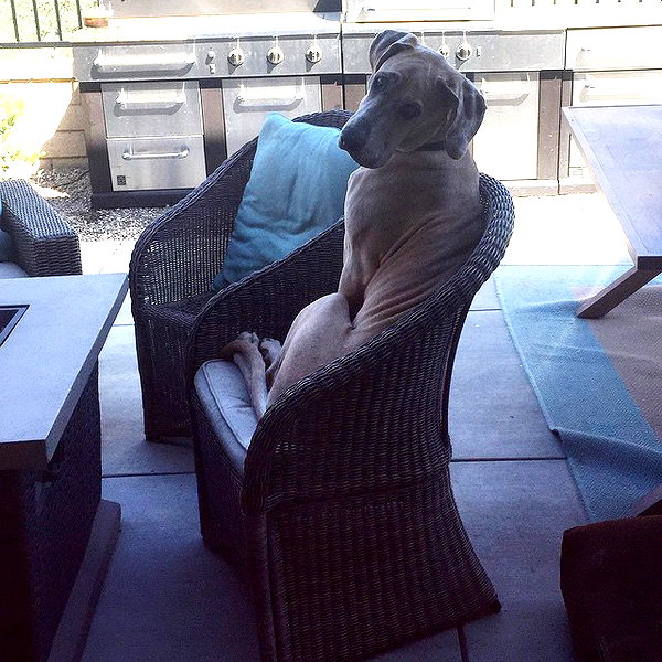 sashapieterse instagram image archive image