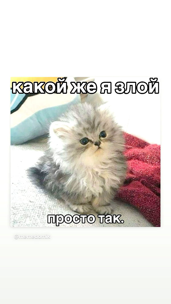 daryanedarya instagram image archive image