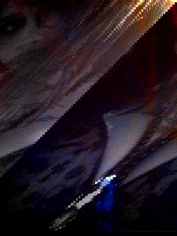 zommmbri zommmbri archive image