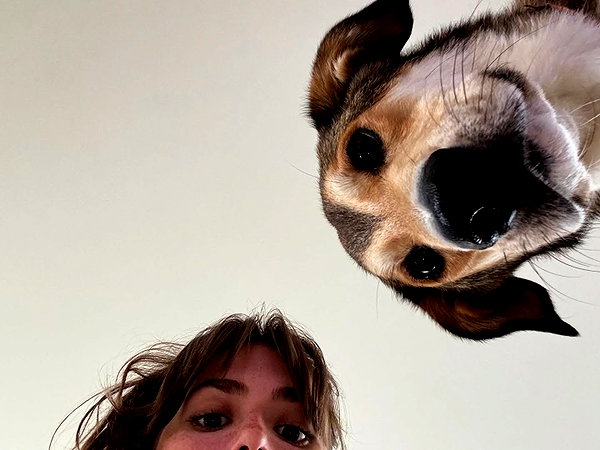 claudiacookgomez instagram image archive image