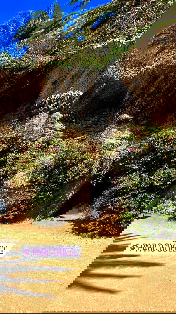 leonanaomii image ~ Altpins