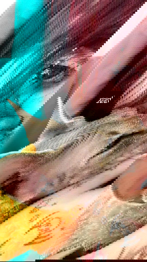 zommmbri zommmbri archive image