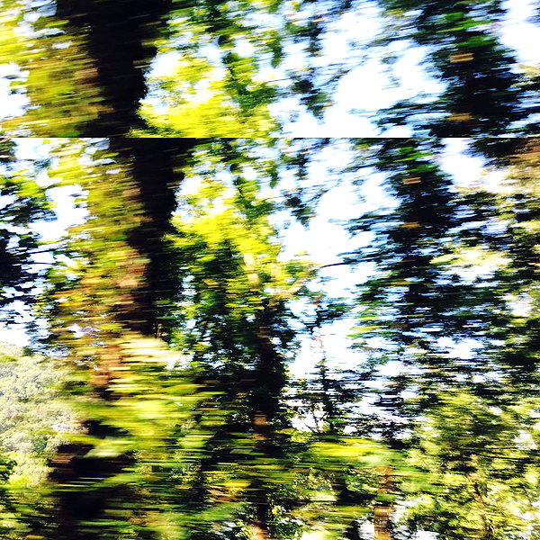 hallucineon instagram image archive image