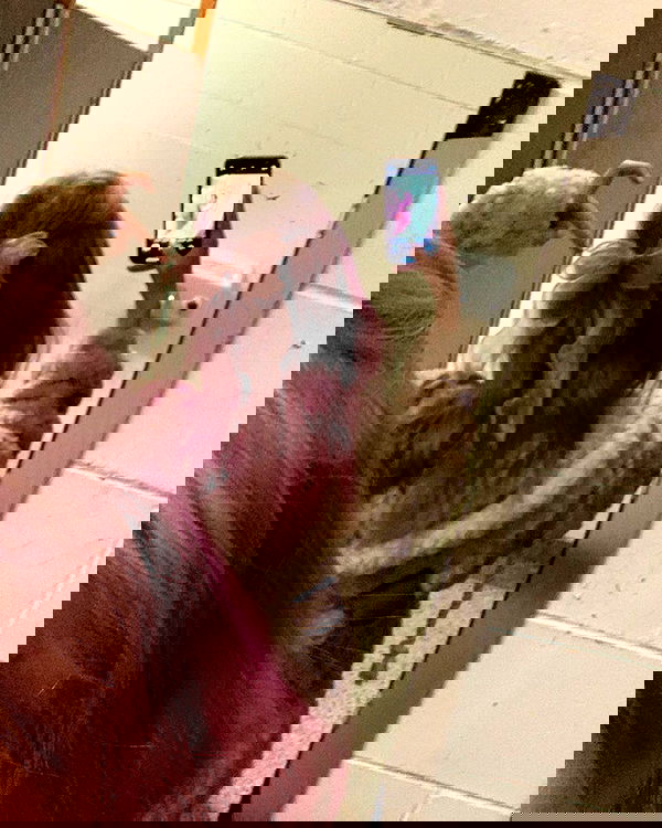 9bitez 9bitez archive image