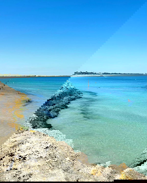 jtilb2 image ~ Altpins