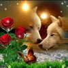 carmaxlla Altpins Profile Picture