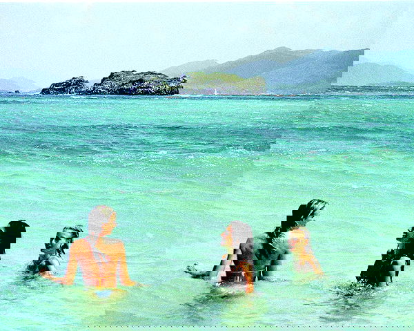 paigeinsco paigeinsco archive image