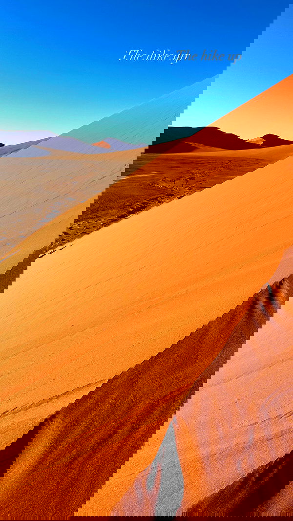 taylor.creeden taylor.creeden archive image