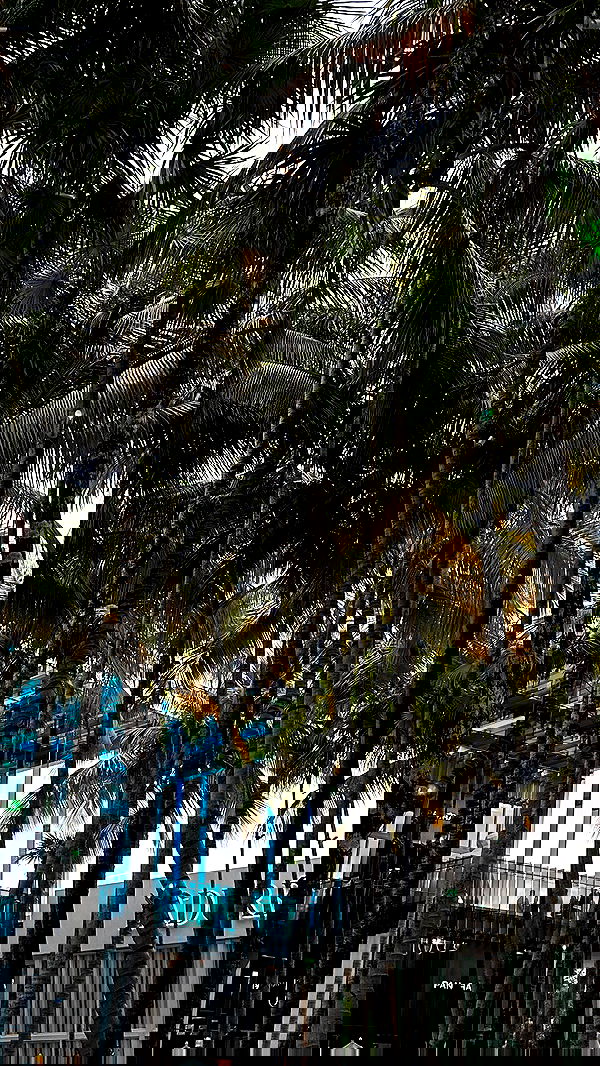 taylor.creeden taylor.creeden archive image