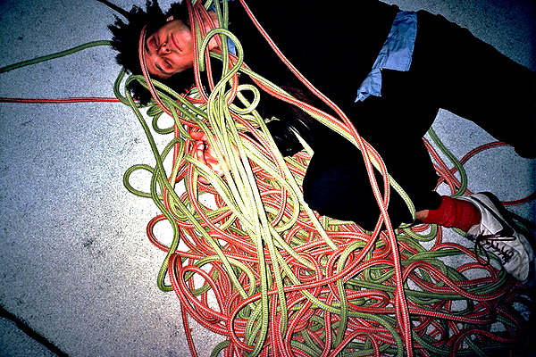 bugz4brainz instagram image archive image