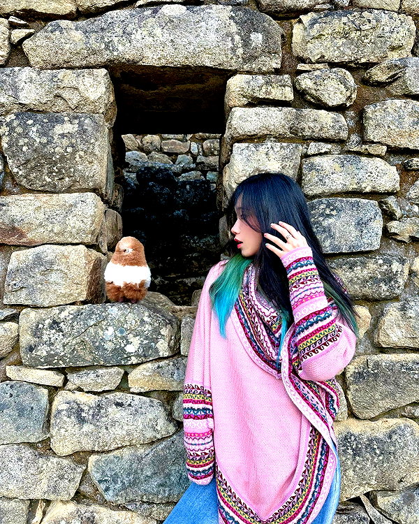 shulunc instagram image archive image