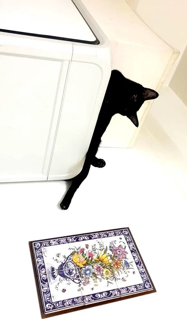 nicakitty instagram image archive image