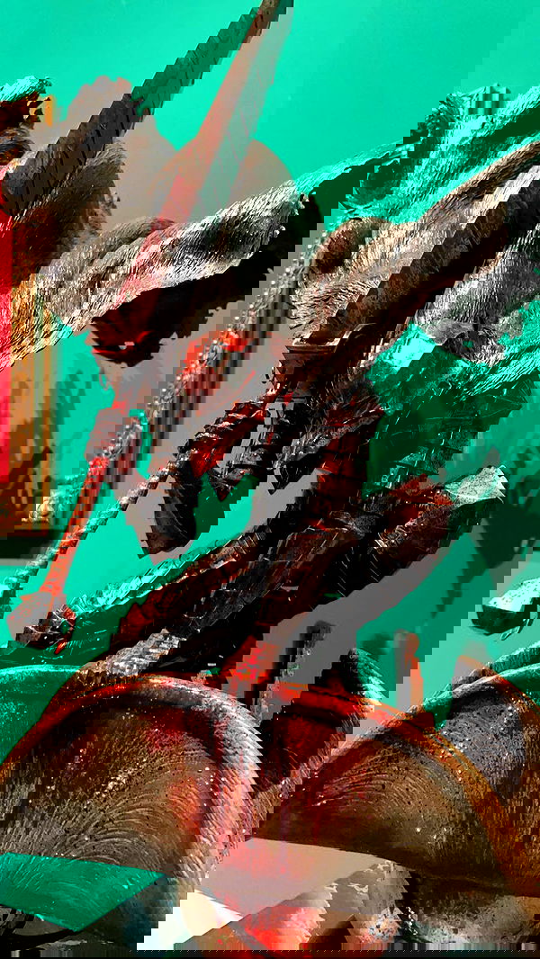 silkton image ~ Altpins