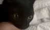 glxoop Altpins Profile Picture