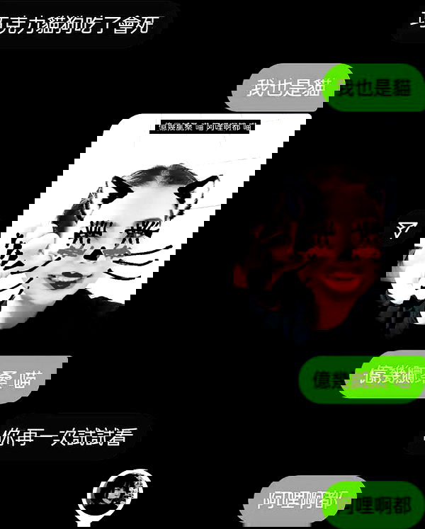 ting851204 ting851204 archive image