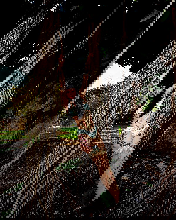 strawberryshanz strawberryshanz archive image