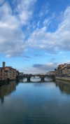 federica.piccinni Altpins Profile Picture
