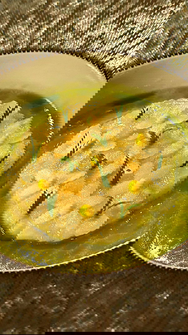 taylor.creeden taylor.creeden archive image