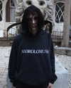 4ndrolomusia Altpins Profile Picture