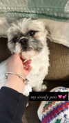 alexalizzz Altpins Profile Picture