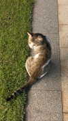 lovemeize Altpins Profile Picture