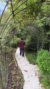 lir.noam Altpins Profile Picture
