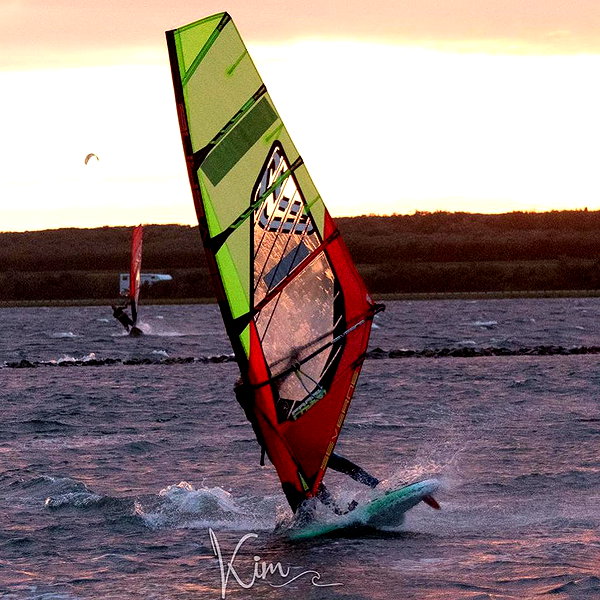 surfsterre instagram image archive image