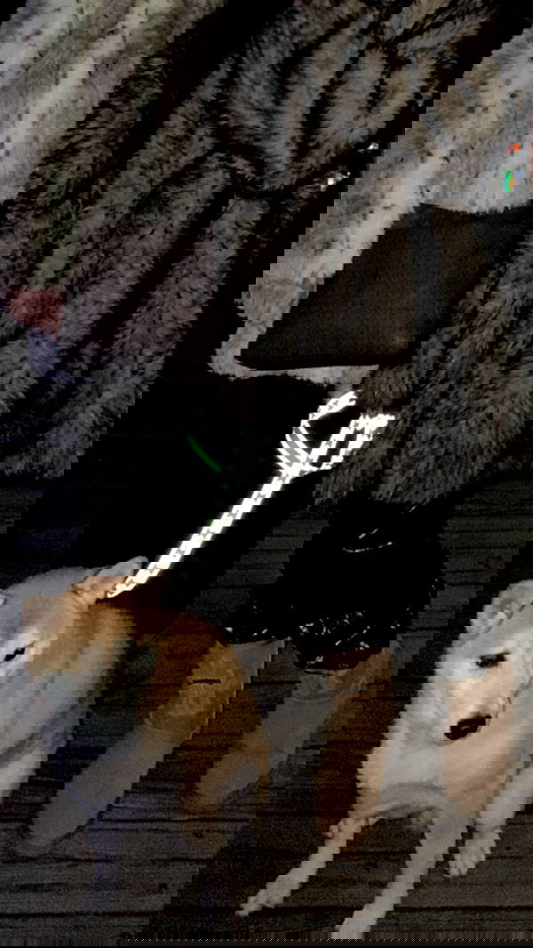 zommmbri zommmbri archive image