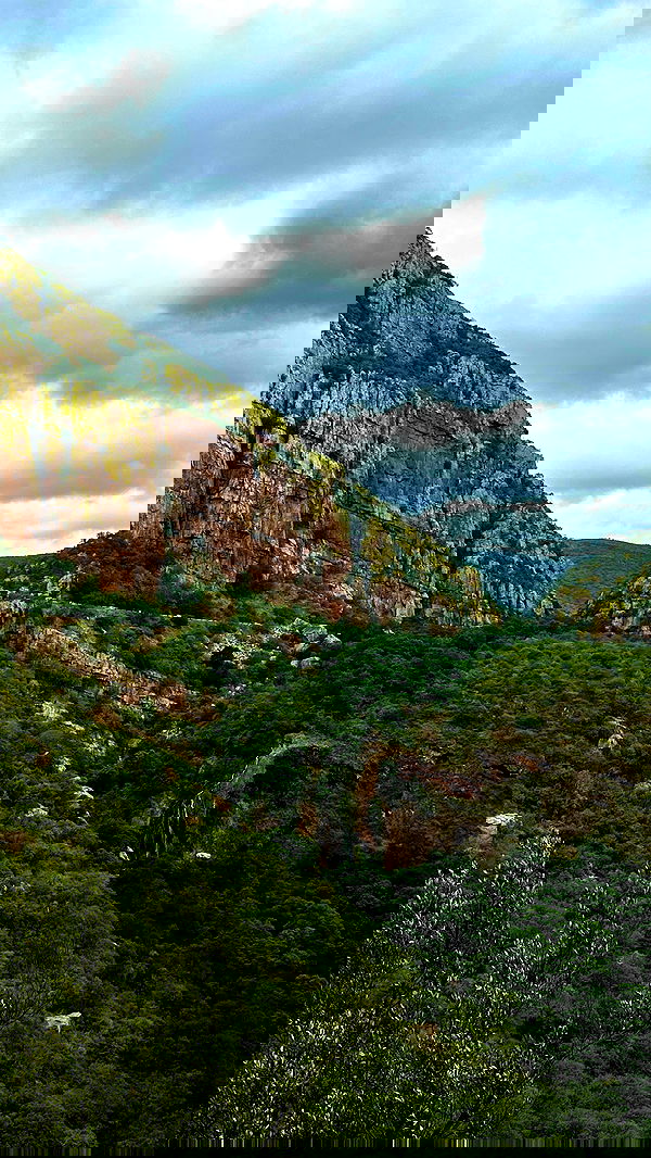 taylor.creeden taylor.creeden archive image