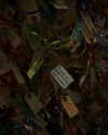 bugz4brainz Altpins Profile Picture