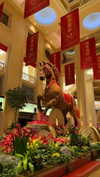 maori_cohen Altpins Profile Picture