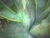 rjoccelyn Altpins Profile Picture