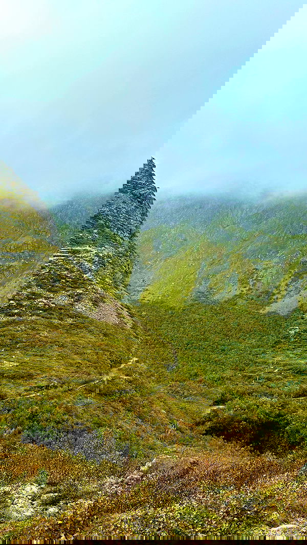 taylor.creeden taylor.creeden archive image