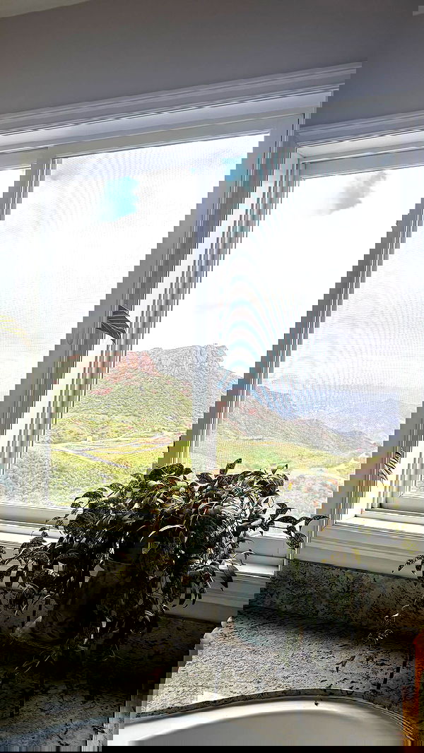 zommmbri zommmbri archive image