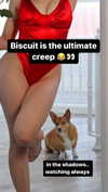 missbrisolo Altpins Profile Picture