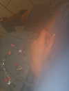 nomagdalina Altpins Profile Picture