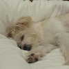 madelame Altpins Profile Picture