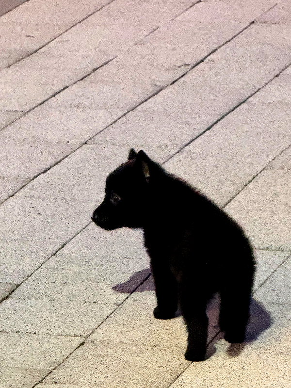 _suxung instagram image archive image
