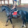 kafelnikova_a Altpins Profile Picture