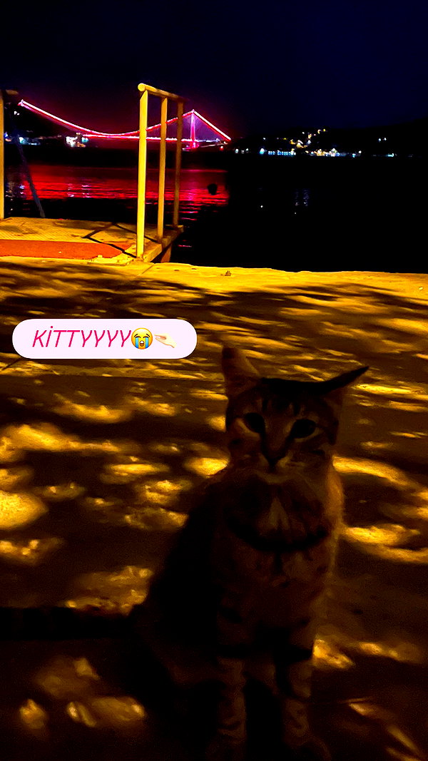 niram1y instagram image archive image