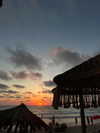 sonia_litvanchuk Altpins Profile Picture