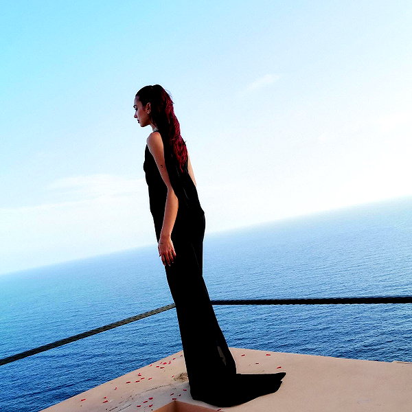 dualipa instagram image archive image