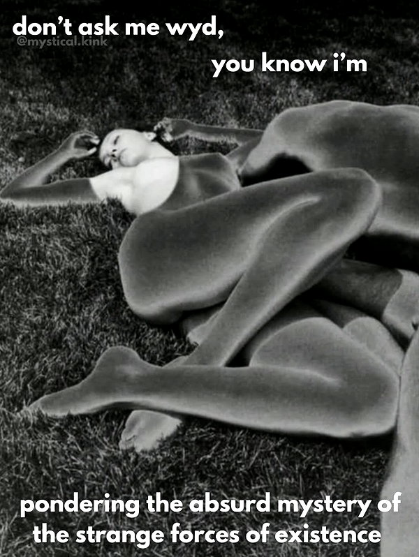 stateofrachel instagram image archive image