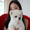 dear.zia Altpins Profile Picture
