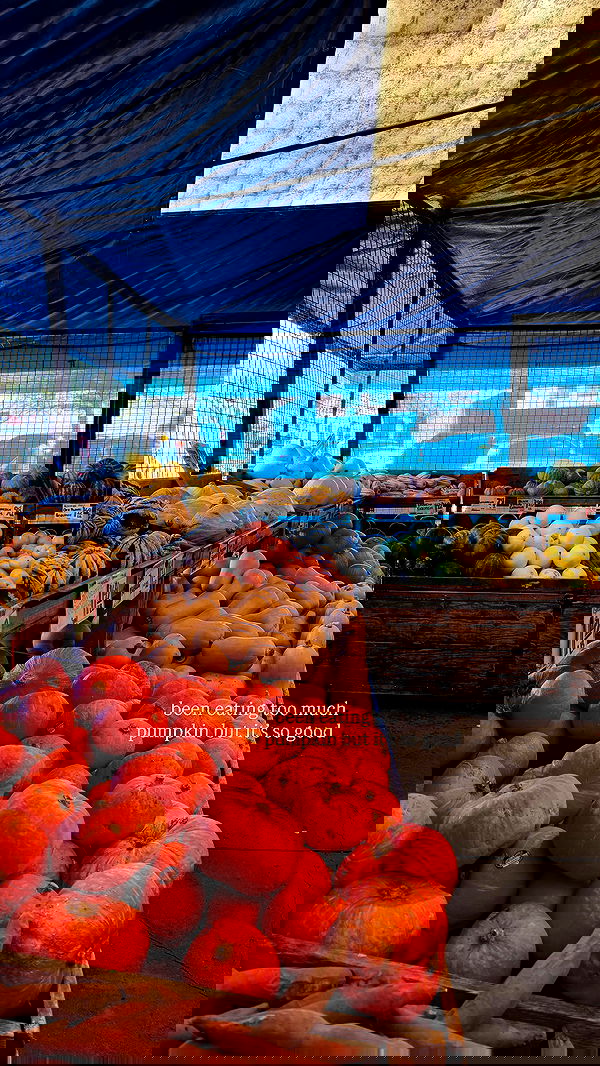 carolinezalog carolinezalog archive image