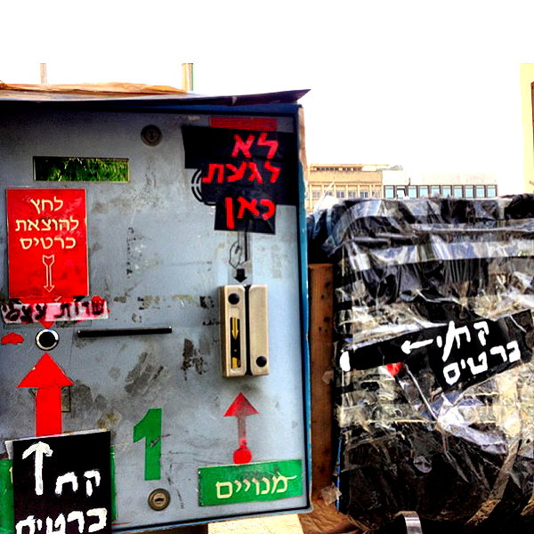 adihimelbloy instagram image archive image