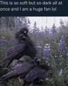 ellaexplicit_ Altpins Profile Picture