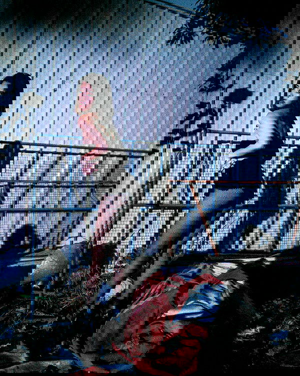 ting851204 ting851204 archive image