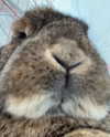 danielle.mercedie Altpins Profile Picture