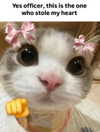 milkiwifey Altpins Profile Picture